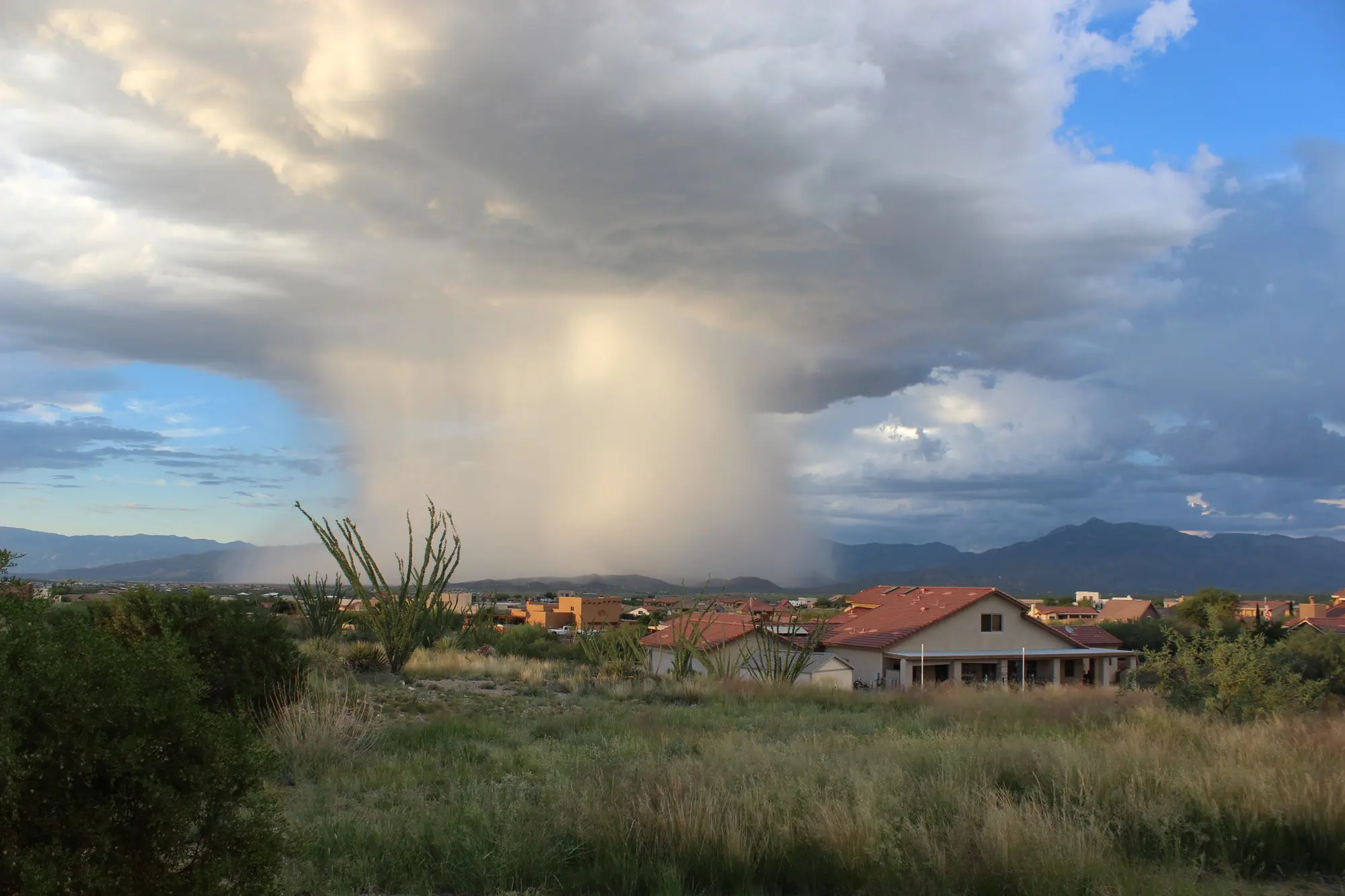 What are the New Fortified Roofing Guidelines for Withstanding Natural Disasters?